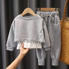 Children Kids Toddler Girls Long Sleeves Sweatshirt And Pants 2 Pcs Set