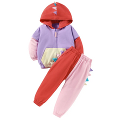 Children Kids Toddlers Fashion Girls Dinosaurs Color Blocking Long Sleeve Hooded Jacket And Pants 2pcs Set