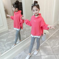 Children Kids Toddler Girls Long Sleeves Hoodies And Leggings 2pcs Set