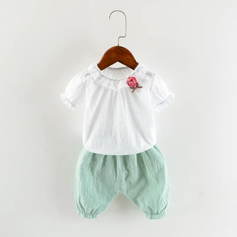 Children Kids Baby Fashion Girls Casual Basic Short Sleeve Flower T-Shirt And Shorts 2pcs Set