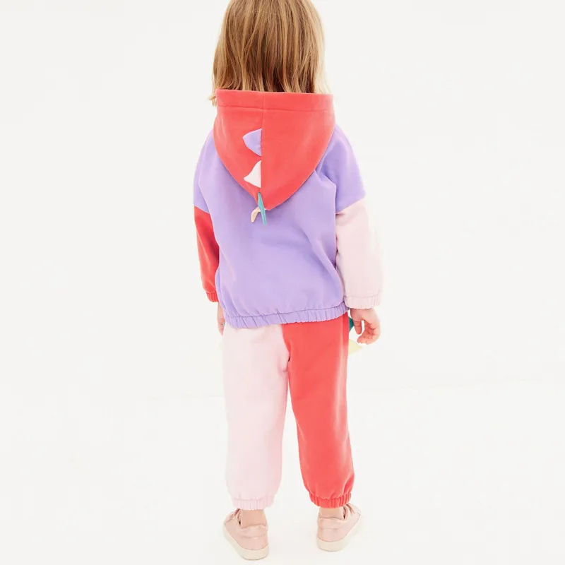 Children Kids Toddlers Fashion Girls Dinosaurs Color Blocking Long Sleeve Hooded Jacket And Pants 2pcs Set